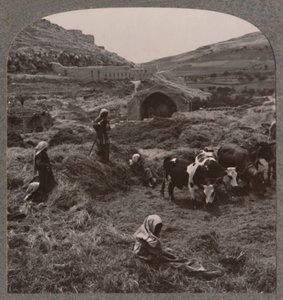 Trillando grano cerca del Pozo de Jacob, c. 1900 de Unbekannt