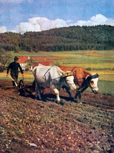 Tilling, Alemania de Unbekannt