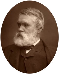 Tom Taylor, dramaturgo y crítico, 1881 de Unbekannt