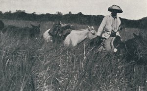Viaje por las Pampas, 1916 de Unbekannt