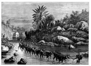 Viajando en Griqualand, Sudáfrica, c1890