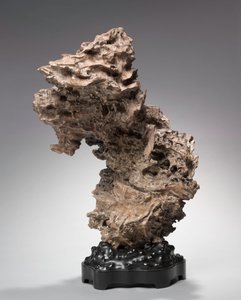 Raíz de árbol de Unbekannt