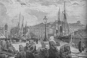Puerto de Trieste, 1902 de Unbekannt
