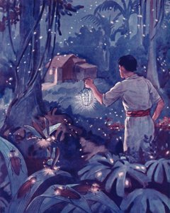 Luciérnagas tropicales como puntos de luz danzantes, 1935