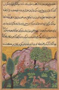 Tuti-Nama (Cuentos de un loro), Cuento XXIX de Unbekannt Unbekannt