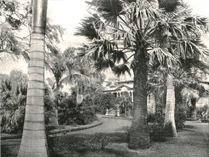 Patio típico hawaiano, Honolulu, EE.UU. de Unbekannt