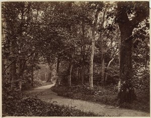 Paisaje Sin Título, principios de 1860 de Unbekannt