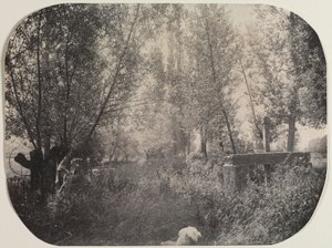 Paisaje sin título con perro, c. 1910 de Unbekannt