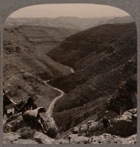 Valle del Arno, pastor y ovejas en primer plano, c1900
