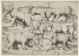 Varios animales de Unbekannt