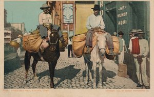 Hombres vegetales, La Habana, Cuba, 1904