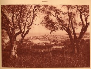 Vista a través de los olivos hacia Antibes, 1930 de Unbekannt