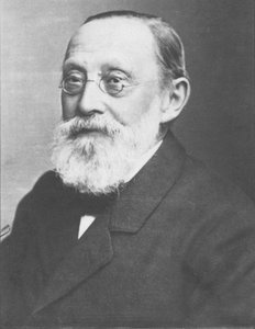 Virchow, c1893