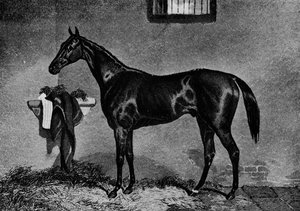 Voltigeur, 1847-1874 de Unbekannt
