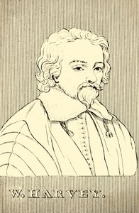 W. Harvey de Unbekannt