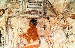 Pintura mural de la tumba de Methethi, Saqqara, Antiguo Egipto, Reino Antiguo, c2371-2350 a.C. de Unbekannt