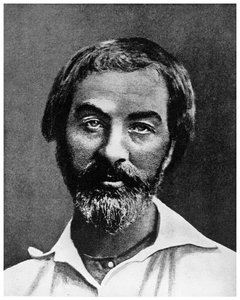Walt Whitman, poeta estadounidense, siglo XIX de Unbekannt
