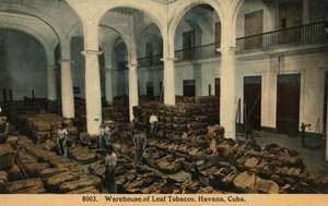 Almacén de tabaco en hoja, La Habana, Cuba, c. 1910