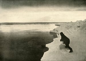 Observando focas en el borde del hielo, c1908, 1909