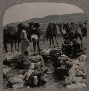 Abrevando camellos en el Pozo de Jacob, c1900 de Unbekannt