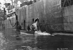 Caza de ballenas, Bahía Magdalena, Spitzbergen, Noruega, 1929