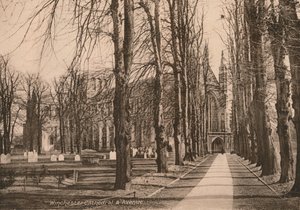 Catedral de Winchester y Avenida, Hampshire, principios del siglo XX de Unbekannt