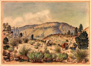 Mujeres recolectando plantas de yuca, siglo XX de Unbekannt