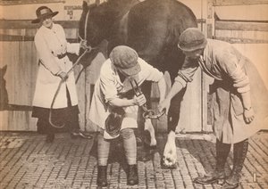 Mujeres como herradores en el hospital de caballos de una gran empresa de transporte, c1916, 1935 de Unbekannt