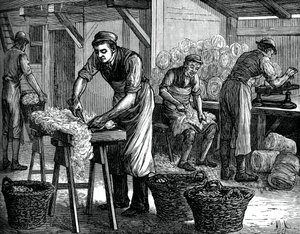 Clasificadores de lana, c. 1880 de Unbekannt