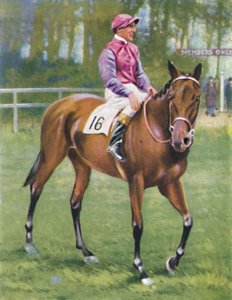 Zoltan, Jinete: M. Beary, 1939 de Unbekannt
