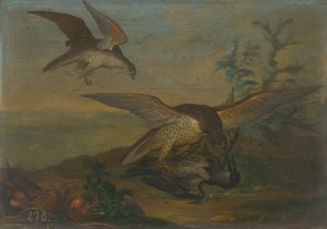 Lucha de pájaros