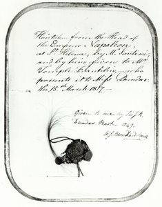 Cabello cortado de la cabeza del Emperador Napoleón por Giovanni Natale Santini y dado por él a William Temple Franklin, 1816 de Unbekannt Unbekannt
