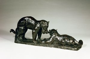 Dos jaguares