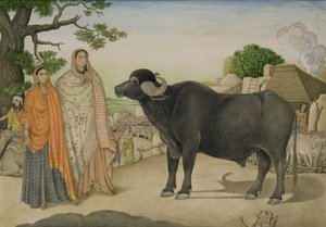 Dos mujeres del pueblo y un búfalo en el pueblo de Rania, c.1816, indio de Unbekannt Unbekannt