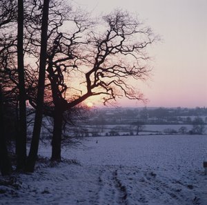 Escena de invierno en la nieve, Hockley, Essex