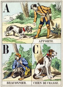 A B C: Apporte, Cazador furtivo, Perro de caza - El Alfabeto de la Caza, c.1890 de Unbekannt