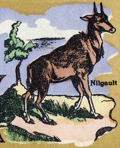 Un Nilgault. Alfabeto ilustrado. Imágenes reunidas en Jarville-Nancy, principios del siglo XX de Unbekannt