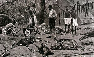 Un gran día de caza 1900 (grabado) de Unbekannter Künstler