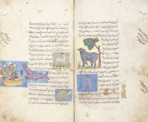 Una página del manuscrito persa "Aja"ib al-Makhluqat wa Ghara"ib al-Maujudat" de Unbekannt