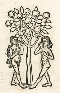 Adán y Eva bajo el Árbol del Conocimiento de Unbekannt