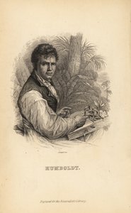 Alexander von Humboldt, explorador, naturalista y botánico alemán