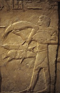 Antiguo Egipto: Saqqarah (o Saqqara o Sakkarah): necrópolis del Antiguo Imperio, tumba de noble.. Detalle de relieves que representan a un pescador.
