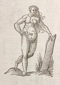 Andrógino de Unbekannt