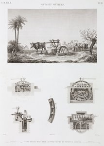 Irrigación con tracción animal, Egipto, c. 1798 de Unbekannt