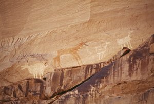 Figuras de animales, pinturas rupestres por artistas navajos, Monumento Nacional del Cañón de Chelly, Reserva India Navajo, Arizona, EE.UU. de Benjamin Baud