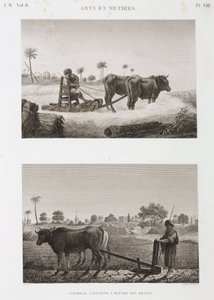 Agricultura arable, arado y máquina de trilla, Egipto, c 1798 de Unbekannt