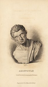 Aristóteles, filósofo y naturalista griego, 384-322 a.C. de Unbekannt