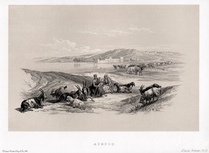 Ashdod Por David de Unbekannter Künstler