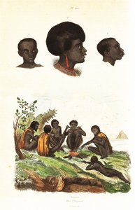 Aborígenes australianos y cabezas de nativos de Waigeo, Papúa Occidental1834-1839 (grabado) de Unbekannter Künstler