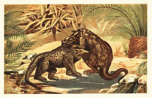 Batalla entre un Megalosaurus bucklandii y un Iguanodon bernissar1908 (litografía) de Unbekannter Künstler